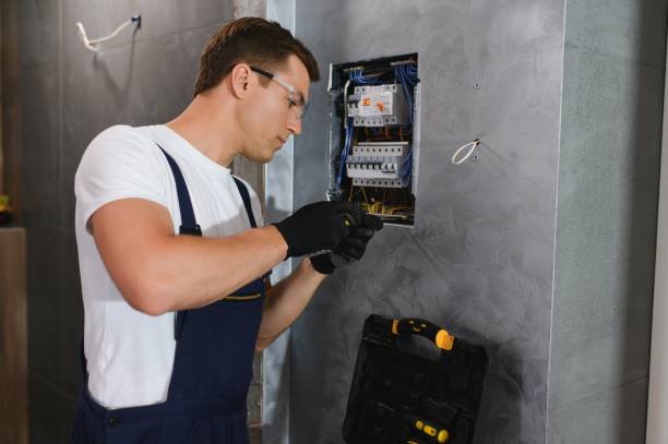 Best Electrical System Inspection  in Pardeeville, WI